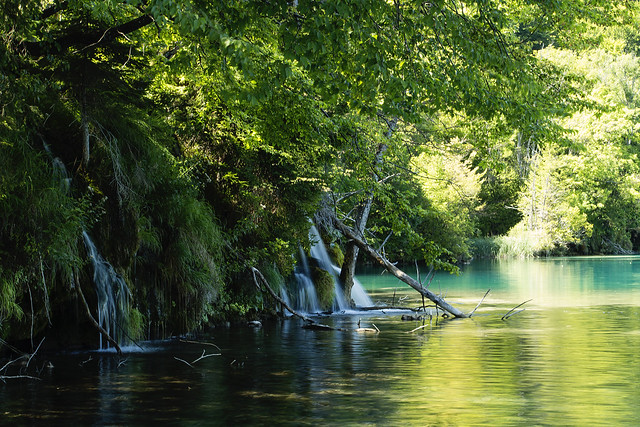 Plitwickie Jeziora / Plitvice Lakes National Park  - Croatia