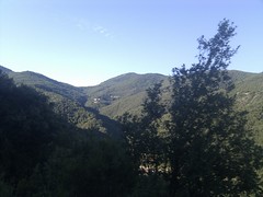 hills of trees - Photo of Saint-Martial