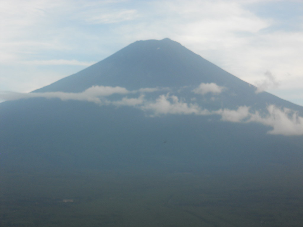 Fuji View