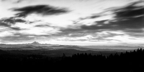 trees blackandwhite mountain sunrise landscape hc110 delta 100 ilford largeformat clounds mountbaker f64 210mm caltariie