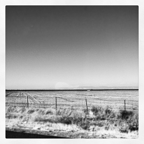 california blackandwhite fence square landscape blackwhite squareformat land inkwell delano centralcalifornia iphoneography instagram instagramapp uploaded:by=instagram foursquare:venue=4f8266c7e4b0cd6f63920937