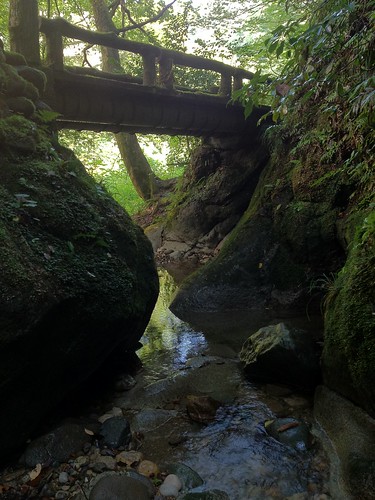 wood green water japan forest river walking valley 日本 木 散歩 緑 水 ishikawa 渓谷 川 森 石川 日本海 川床 山中温泉