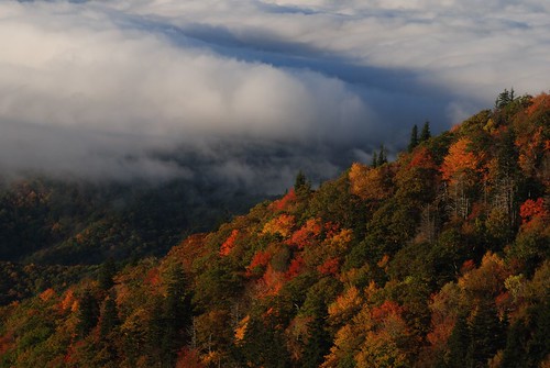 autumn mountains fall clouds dawn nc fallcolor northcarolina ridge appalachia blueridgeparkway daybreak devilscourthouse
