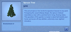 Spruce Tree