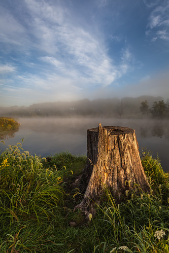 mist lake tree grass fog clouds sunrise stump prophetstown prophetstownstatepark