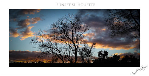 sunset silhouette australia newsouthwales oberon