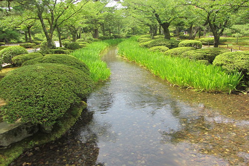 water japan cherry stream azaleas system kanazawa irises kenrokuen 兼六園 ishikawaken tatsumi hanamibashi 花見橋