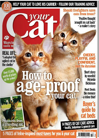 yourcatOct12cover