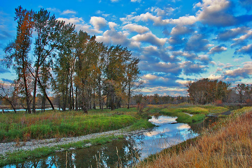 morning autumn trees sky fall nature water field grass clouds canon reflections river peace riverside calm foliage explore davidsmith explored calgaryalbertacanada eos60d