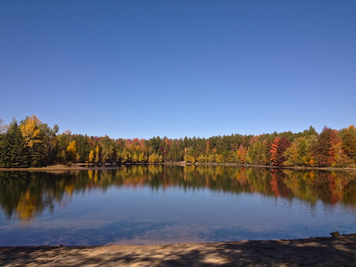 autumn lake colors forest iphone4s