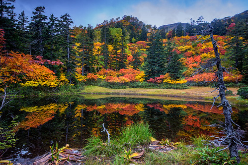 autumn trees reflection leaves japan hokkaido hiking ponds autumncolor daisetsuzannationalpark autumncolour kogenonsen flickraward flickraward5 flickrawardgallery
