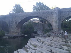 the bridge