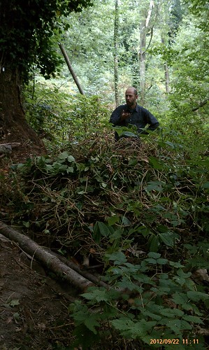 The ivy pile
