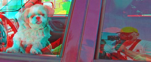 dog stereoscopic stereophoto 3d anaglyph iowa stereo carshow strollers siouxcity redcyan 3dimages 3dphoto 3dphotos 3dpictures stereopicture petsmart093012