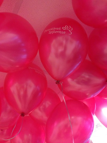Heliumballonnen Bedrukt Dierenkliniek Spijkenisse