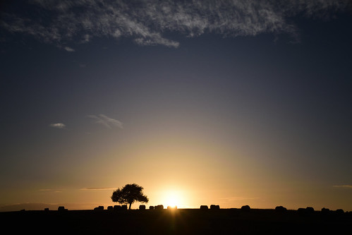 nikon d3300 sigma contemporary 18200dcoshsmc paysage landscape ciel sunset coucherdesoleil soleil arbre tree sky rundball