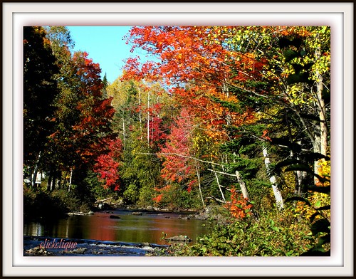 red orange reflection green fall water colors leaves yellow river millstream colorreflection discoveryphotos damniwishihadtakenthat travelpilgrems