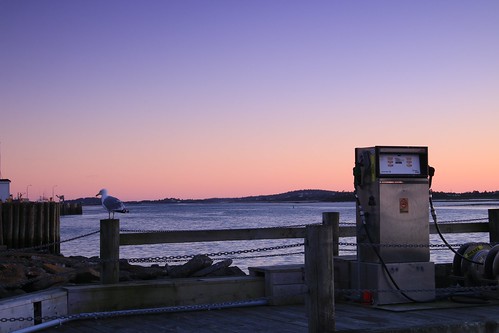 yarmouth novascotia canada waterfront pier jetty boatramp bowser petrolbowser seagull bird landscape evening sky dusk sunset sundown colour color water waterscape sea coastal ocean bay yarmouthharbour pump petrolpump fueldispenser cans2s