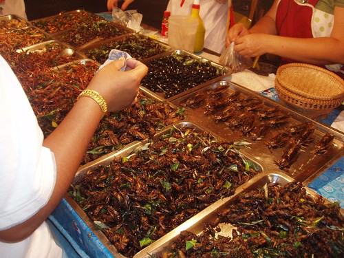 200902230105_nightmarket-insects