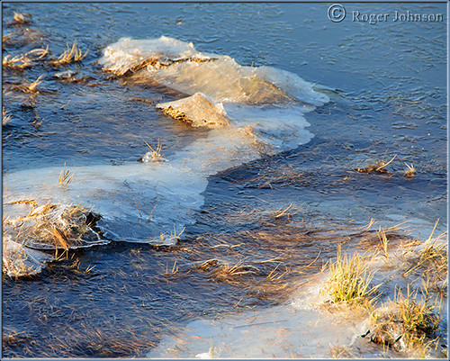 ice frost winter cortemaderamarsh sanfranciscobay rogerjohnson smileonsunday iceday
