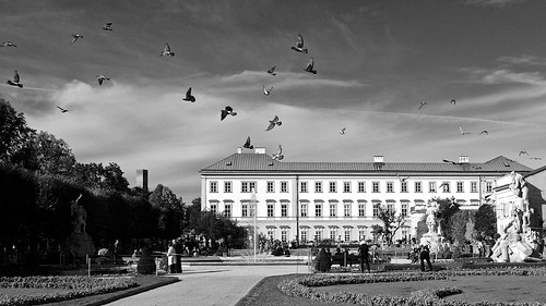 bw salzburg austria österreich fuji pigeons tauben x100 mirabellpark schlossmirabell