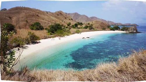 Top 38 Diving and Snorkeling Sites in Komodo National Park