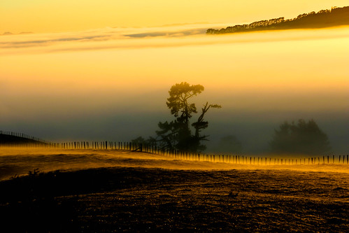 fog sunrise landscape waikato onewhero