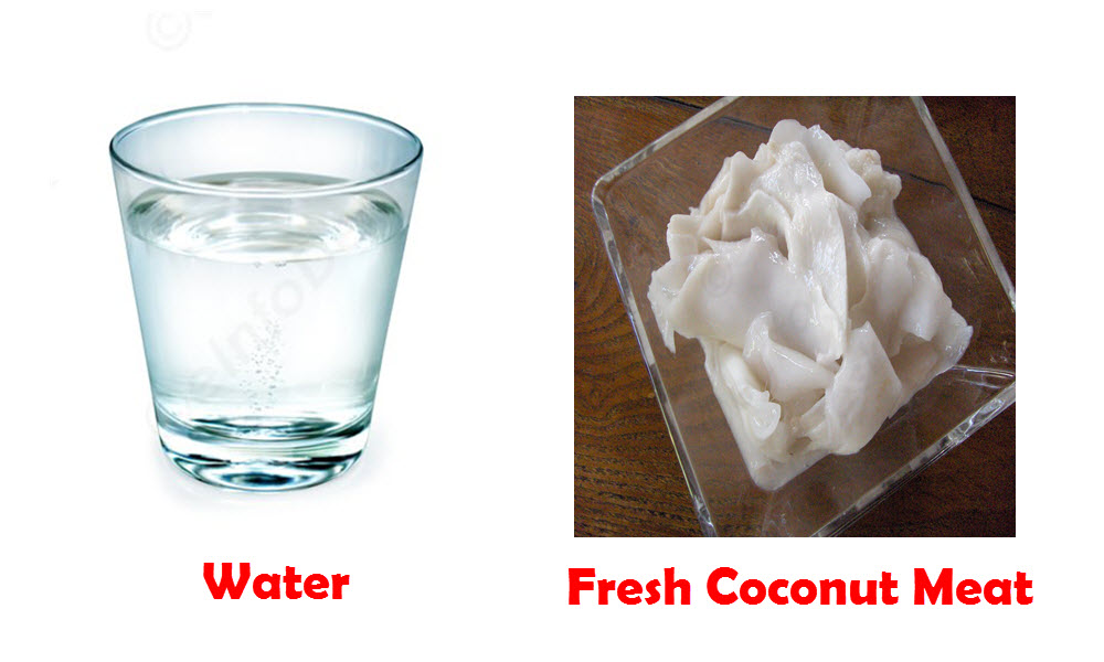 water and coconut meat