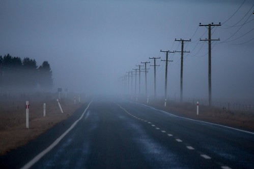 trees newzealand mist fog clouds sunrise foggy southisland otago omarama poplartree mistyomaramaotagonewzealand
