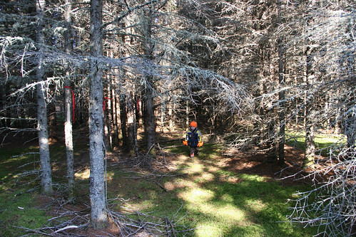 woods maine northern allagash