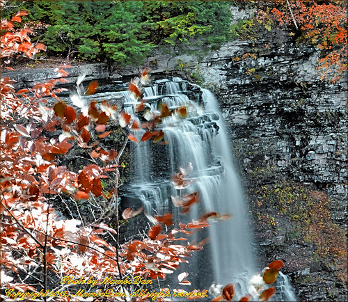 upstateny waterfalls lakeontario salmonriverfalls