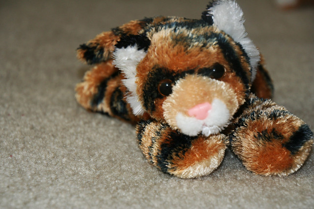 Stuffed tiger from the Denver zoo