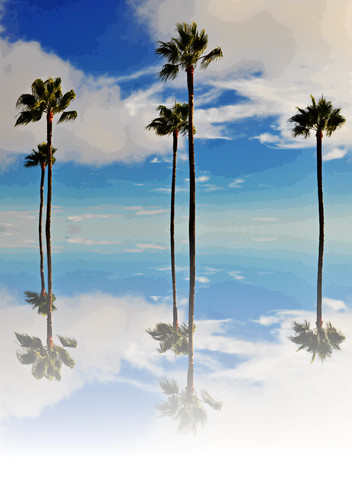 california palmtrees hearstcastle centralcalifornia strangedream viewfromhearstcastle