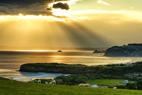 ocean sunset newzealand summer seaside farmland stephen coastal otago dunedin murphy tomahawk setev downunderphotos stephenmurphy