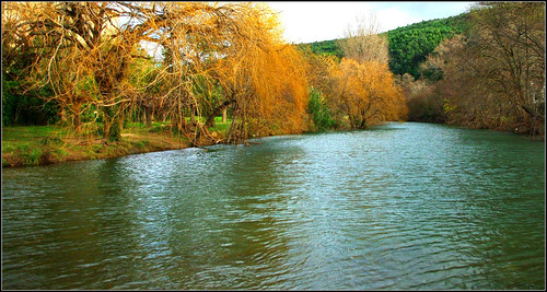 trees france water river landscape eau europe rivière arbres paysage 34 languedocroussillon hérault bize cesse bizeminervois
