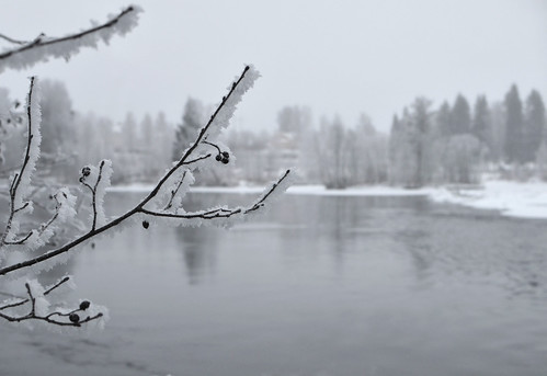winter landscape sweden klarälven värmland rimefrost munkfors