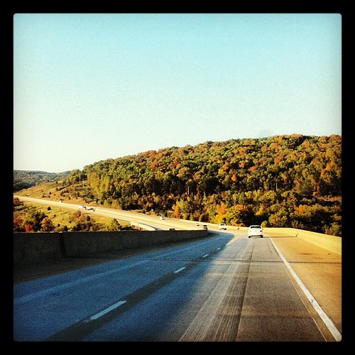 autumn fall leaves square highway driving view squareformat arkansas ozarks hefe i540 iphoneography instagramapp uploaded:by=instagram foursquare:venue=4f490ecce4b0291e4903e6c4