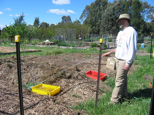 Planting potatoes - Spring 2012