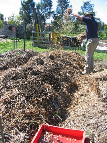Planting potatoes - Spring 2012