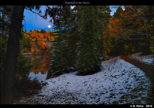 fall gitzotripod hdr lake nikond800e pruhonicepark autumn nightfall october2012