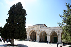IL09 1277 Al-Aqsa Mosque,Temple Mount הר הבית
