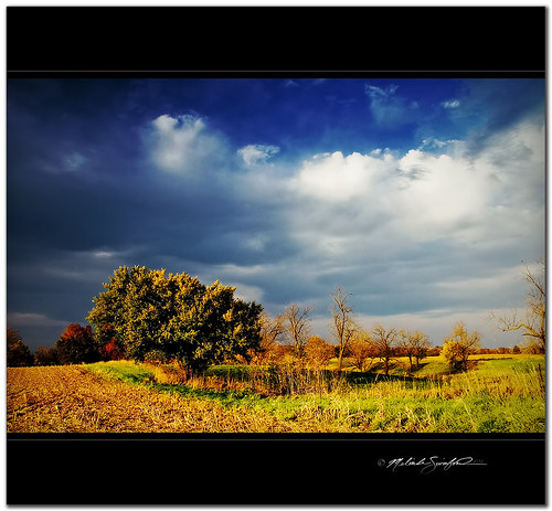 blue autumn sky color tree field yellow contrast canon landscape photography illinois cool warm seasons change drama 60d