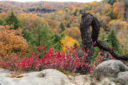 fall colors landscape hockinghills conkleshollownaturepreserve kingsleyswamidoss