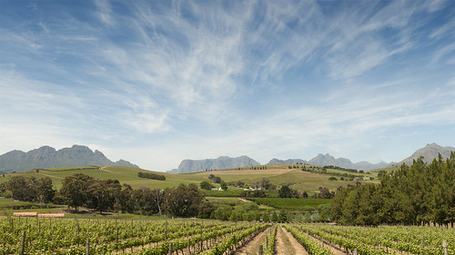 panorama southafrica wine capetown vineyards stellenbosch winefarm closmalverne