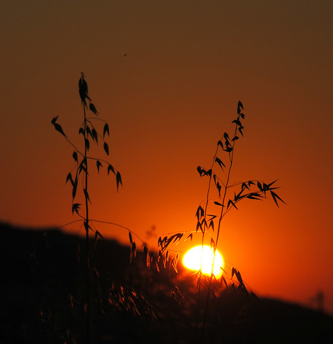 sunset greece sifnos cyclades summernight