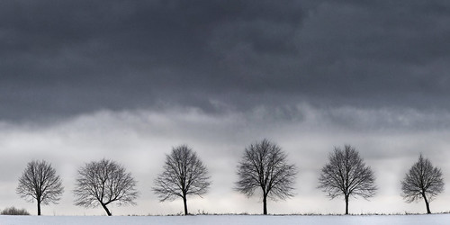 schnee trees winter sky snow field germany grey countryside himmel landschaft bäume acker mettmann