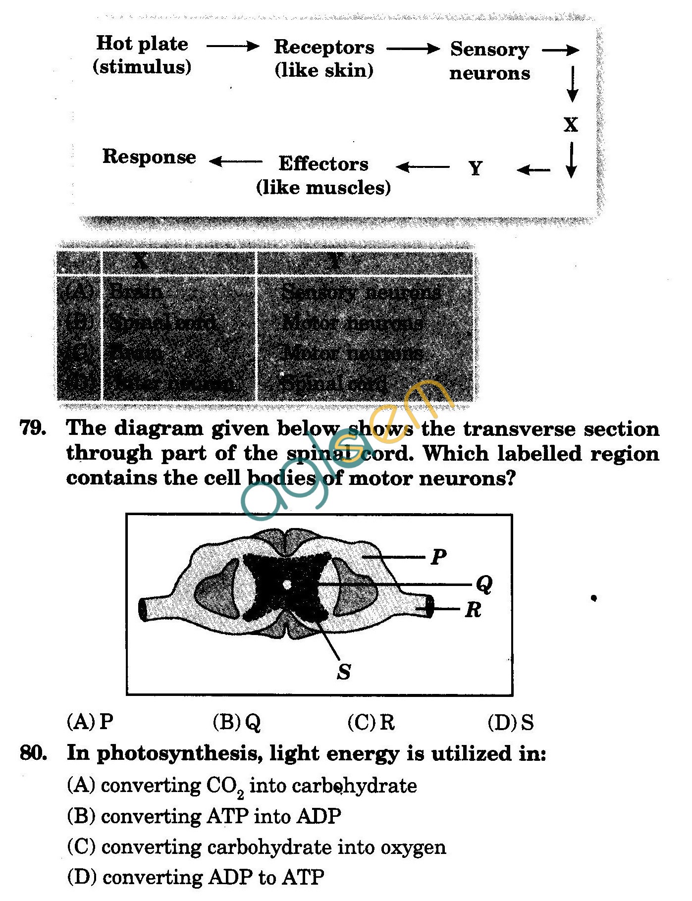 NSTSE 2009 Class X Question Paper with Answers - Biology