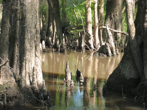 美國濕地保護法案延長至2017年。（圖：USFWS Headquarters）
