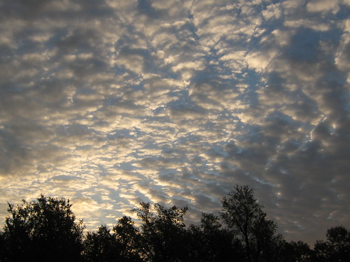 trees sky clouds sunrise landscapes mothernature fortriley