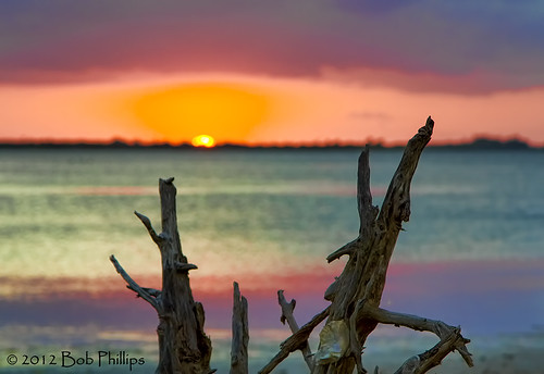 sunset gulfofmexico clouds florida pineland